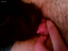 A puppy sampling a concupiscent tunnel of love